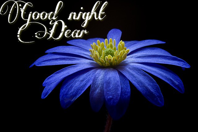 Good night images with flowers