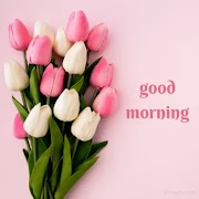 50 Good Morning Images With Flowers 🌸