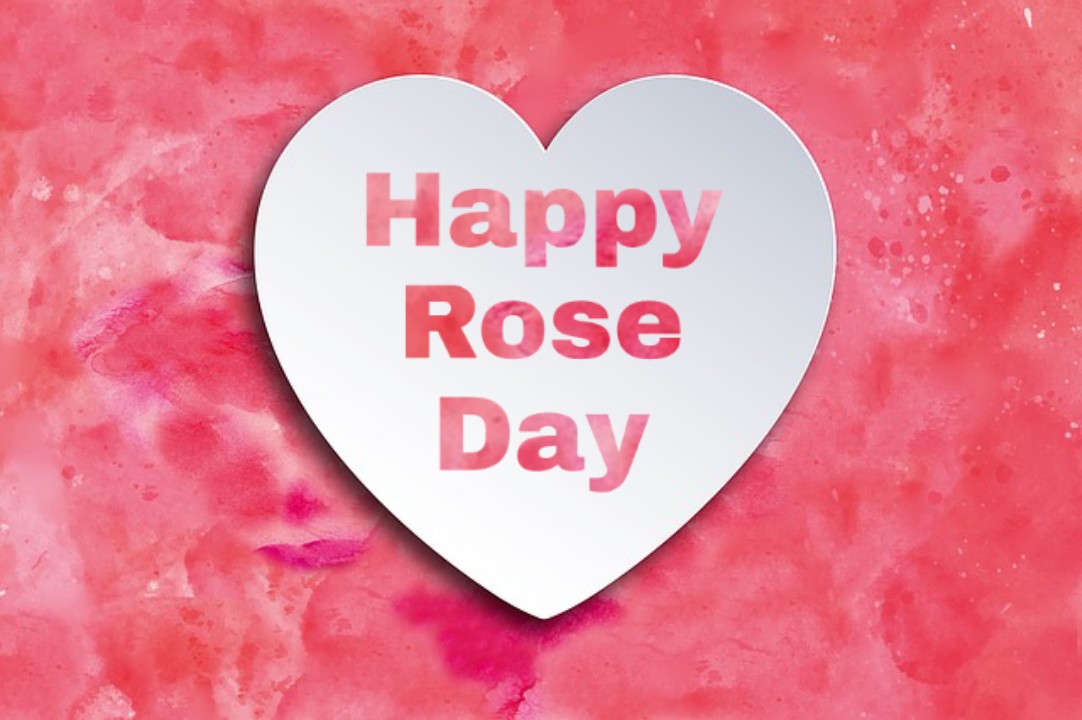 valentine week days list 2020 rose day images