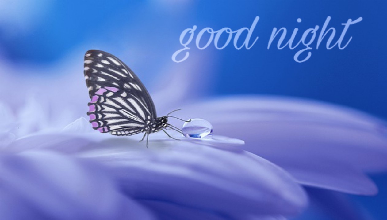 Good night images with flowers